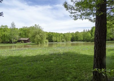 Etang ROZ 29 AVRIL